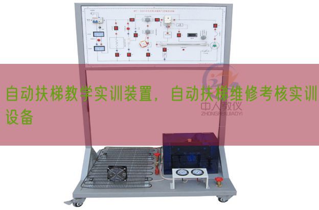 自動扶梯教學實訓裝置，自動扶梯維修考核實訓設備(圖1)