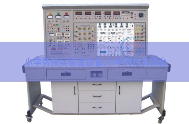 小學(xué)勞技實(shí)驗(yàn)室設(shè)備,小學(xué)勞技實(shí)訓(xùn)臺(tái)(圖1)