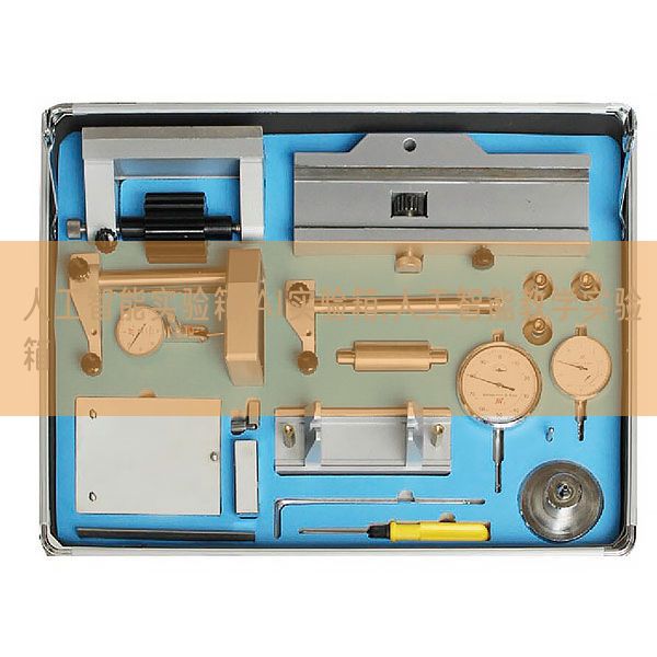 人工智能實驗箱,AI實驗箱,人工智能教學實驗箱(圖1)