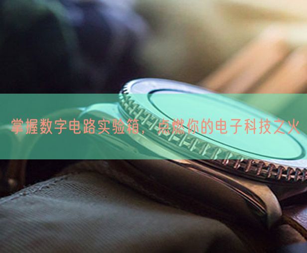 掌握數(shù)字電路實(shí)驗(yàn)箱，點(diǎn)燃你的電子科技之火(圖1)