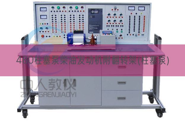 480柱塞泵柴油發(fā)動(dòng)機(jī)附翻轉(zhuǎn)架(柱塞泵)(圖1)