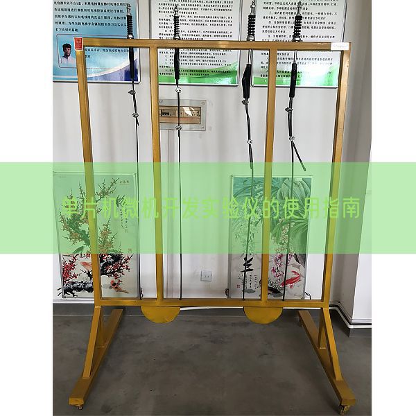 單片機微機開發(fā)實驗儀的使用指南(圖1)