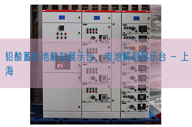 鉛酸蓄電池解剖展示臺(tái)，電池解剖展示臺(tái) - 上海(圖1)