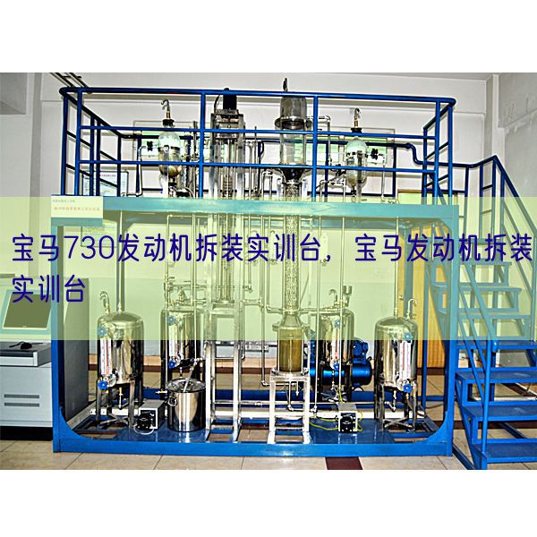 寶馬730發(fā)動機(jī)拆裝實訓(xùn)臺，寶馬發(fā)動機(jī)拆裝實訓(xùn)臺(圖1)